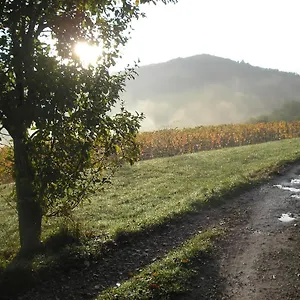 grange-rnove-en-pleine-nature.midi-pyreneeshotels.com/